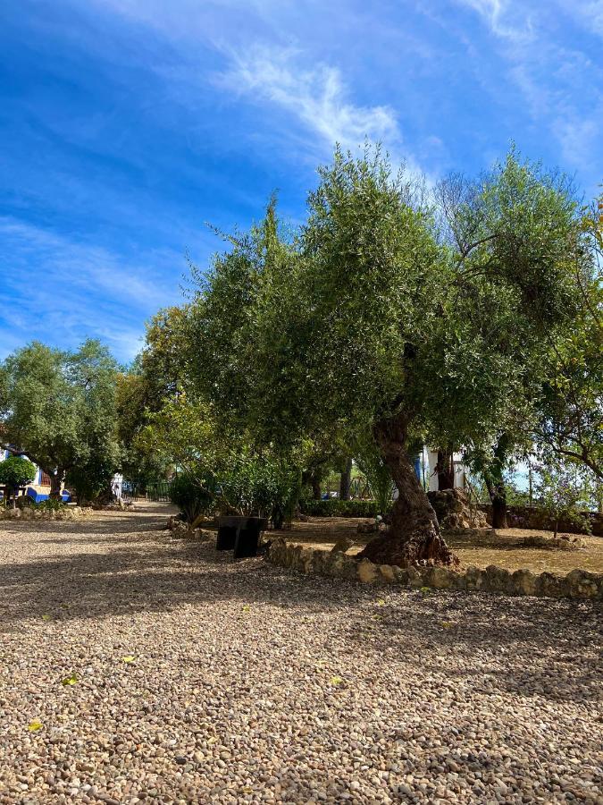 Complejo Rural Mirador De La Alcaidia Villa ออร์นาชวยโลส ภายนอก รูปภาพ