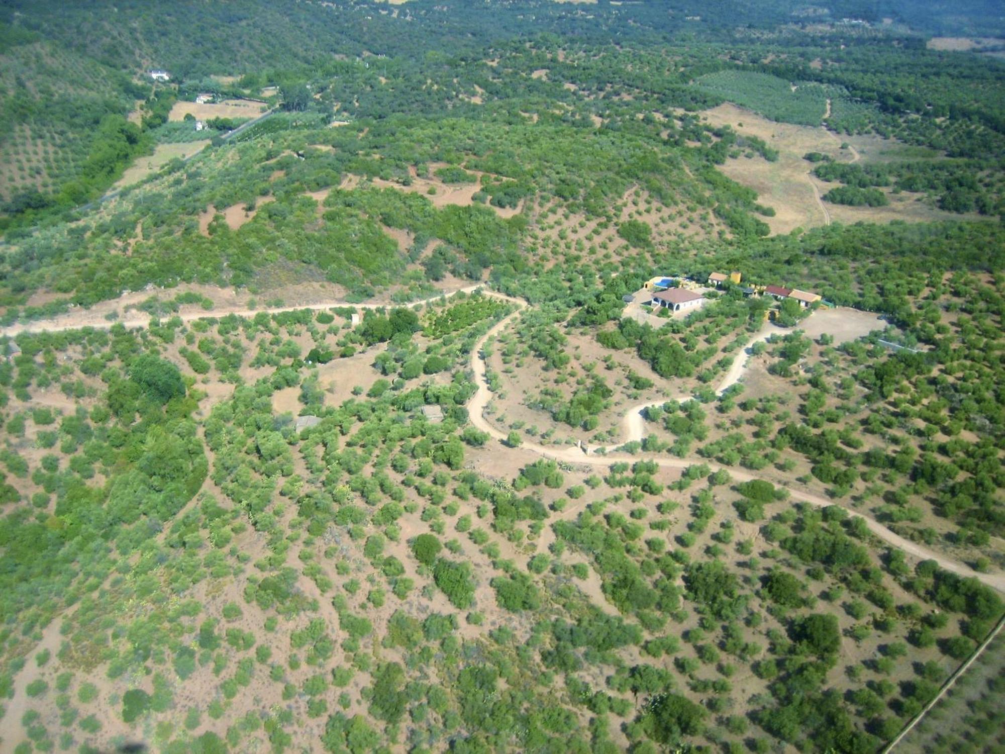 Complejo Rural Mirador De La Alcaidia Villa ออร์นาชวยโลส ภายนอก รูปภาพ